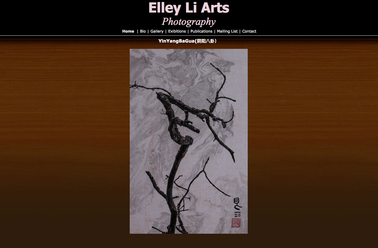 Elley Li Arts Website